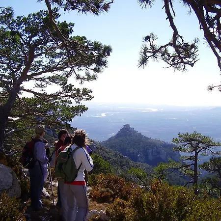 La Caseta Del Port Alfara de Carles